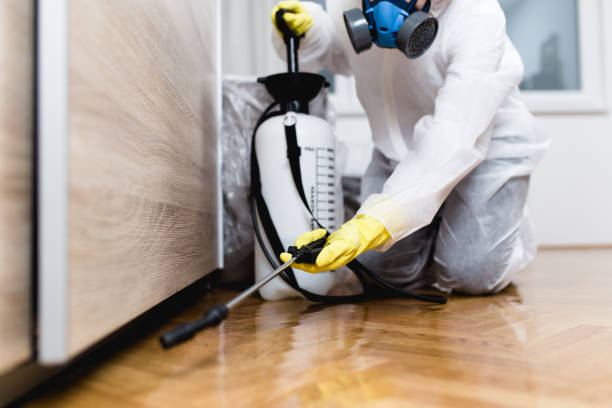 Best Termite Control Services  in Cedar Rapids, IA