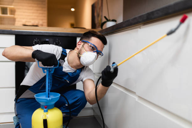 Best Best Pest Control Companies  in Cedar Rapids, IA