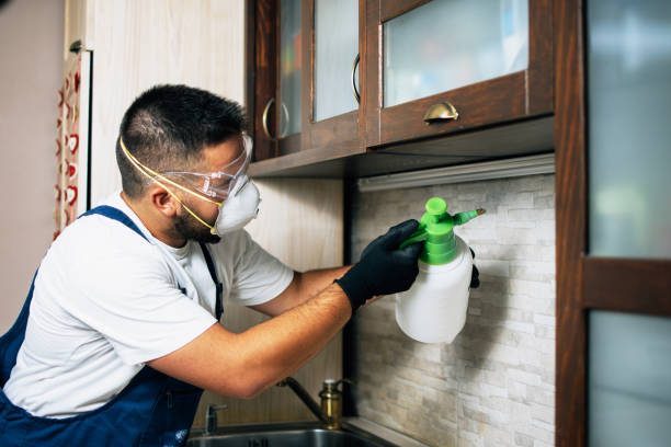 Best Pest Prevention Services  in Cedar Rapids, IA