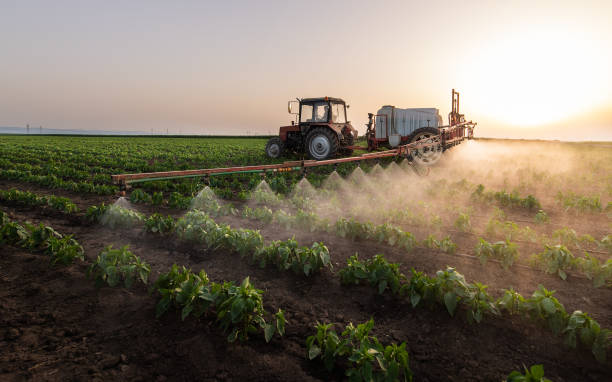 Best Pest Removal Services  in Cedar Rapids, IA