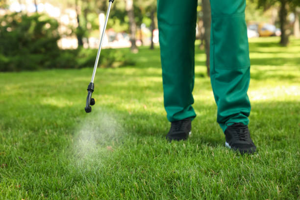 Best Rat Extermination Near Me  in Cedar Rapids, IA