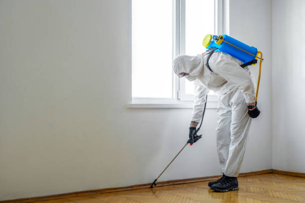 Best Emergency Pest Control  in Cedar Rapids, IA