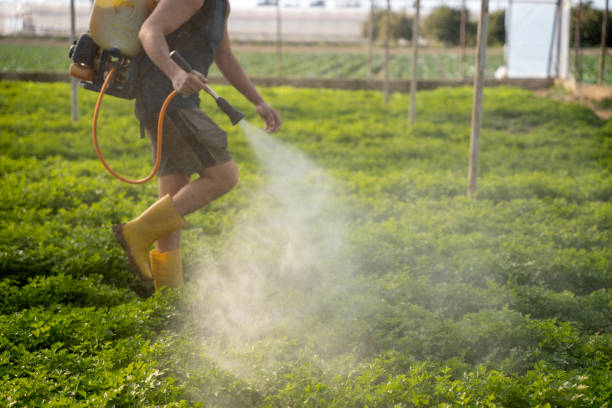 Best Best Pest Control Companies  in Cedar Rapids, IA