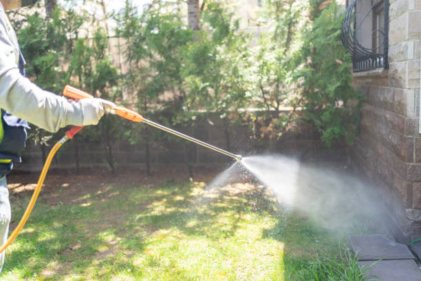 Best Affordable Pest Control Services  in Cedar Rapids, IA