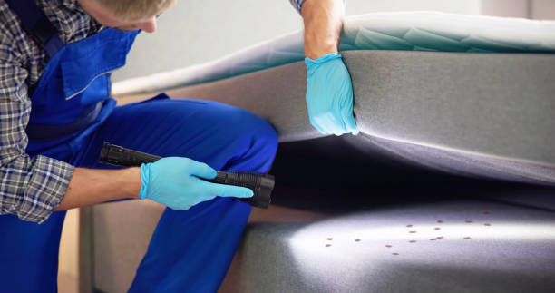Best Local Pest Control Services  in Cedar Rapids, IA