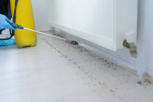 Best Mosquito Control Services  in Cedar Rapids, IA